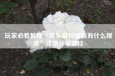 玩家必看教程“微乐麻将输赢有什么规律”详细分享装挂