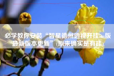 必学教你安装“智星德州透视开挂ios版最新版本更新	”(原来确实是有挂)