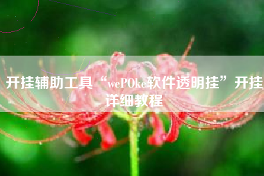 开挂辅助工具“wePOke软件透明挂”开挂详细教程