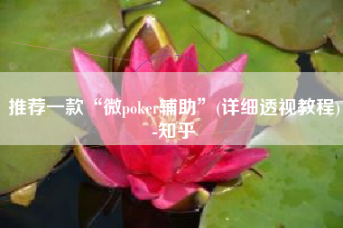 推荐一款“微poker辅助”(详细透视教程)-知乎