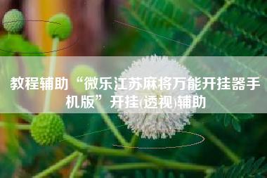 教程辅助“微乐江苏麻将万能开挂器手机版	”开挂(透视)辅助
