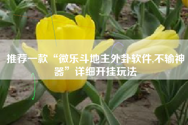 推荐一款“微乐斗地主外卦软件,不输神器	”详细开挂玩法