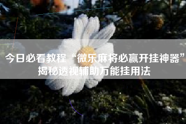 今日必看教程“微乐麻将必赢开挂神器	”揭秘透视辅助万能挂用法