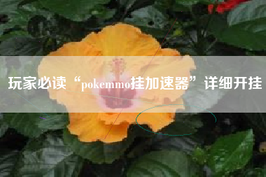 玩家必读“pokemmo挂加速器	”详细开挂