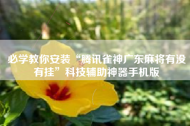 必学教你安装“腾讯雀神广东麻将有没有挂”科技辅助神器手机版