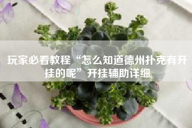 玩家必看教程“怎么知道德州扑克有开挂的呢”开挂辅助详细