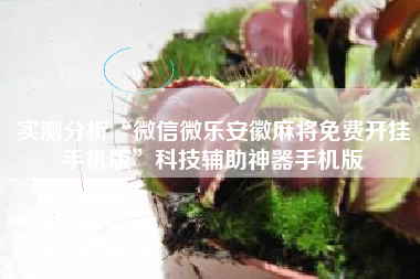 实测分析“微信微乐安徽麻将免费开挂手机版”科技辅助神器手机版