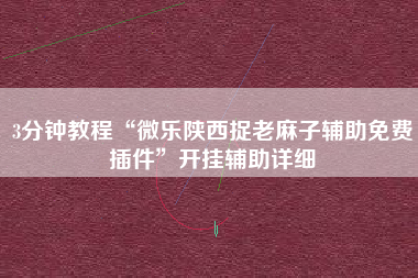 3分钟教程“微乐陕西捉老麻子辅助免费插件”开挂辅助详细