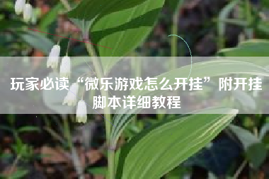 玩家必读“微乐游戏怎么开挂	”附开挂脚本详细教程