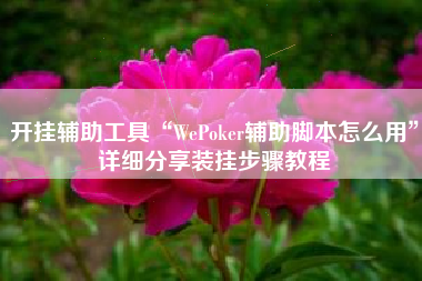 开挂辅助工具“WePoker辅助脚本怎么用”详细分享装挂步骤教程