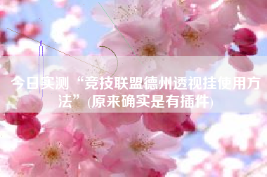 今日实测“竞技联盟德州透视挂使用方法	”(原来确实是有插件)