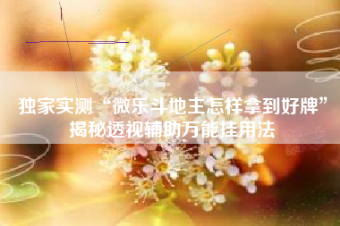 独家实测“微乐斗地主怎样拿到好牌”揭秘透视辅助万能挂用法