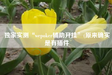 独家实测“wepoker辅助开挂”(原来确实是有插件