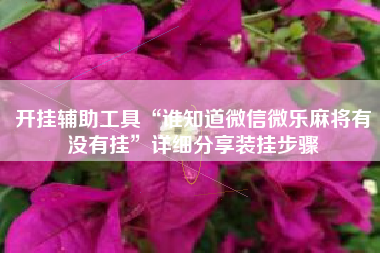 开挂辅助工具“谁知道微信微乐麻将有没有挂”详细分享装挂步骤