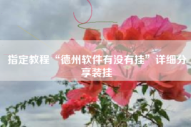 指定教程“德州软件有没有挂	”详细分享装挂