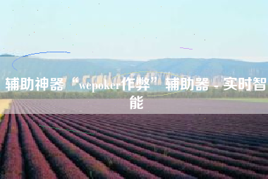 辅助神器“wepoker作弊”辅助器 - 实时智能