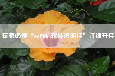 玩家必搜“wePOke软件透明挂”详细开挂