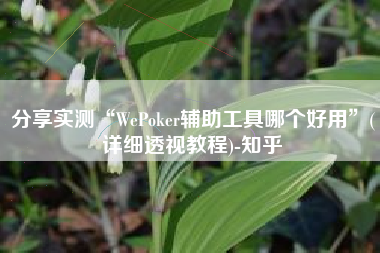 分享实测“WePoker辅助工具哪个好用”(详细透视教程)-知乎