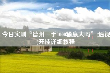 今日实测“德州一手1000输赢大吗	”(透视)开挂详细教程