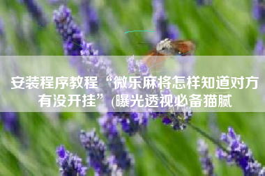 安装程序教程“微乐麻将怎样知道对方有没开挂”(曝光透视必备猫腻