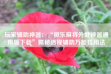 玩家辅助神器：“微乐麻将外卦神器通用版下载”揭秘透视辅助万能挂用法