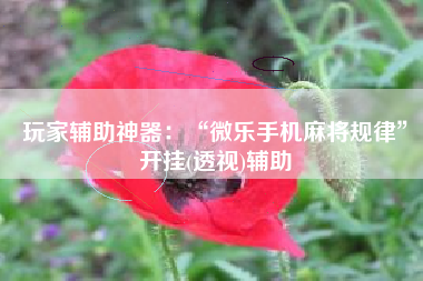 玩家辅助神器：“微乐手机麻将规律	”开挂(透视)辅助