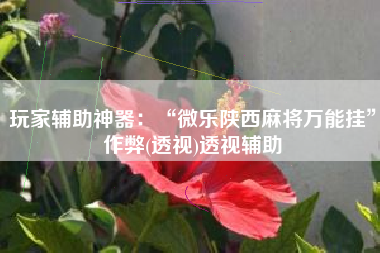 玩家辅助神器：“微乐陕西麻将万能挂	”作弊(透视)透视辅助