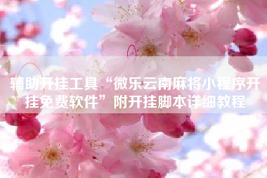 辅助开挂工具“微乐云南麻将小程序开挂免费软件”附开挂脚本详细教程