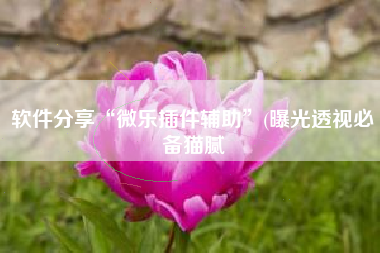 软件分享“微乐插件辅助”(曝光透视必备猫腻