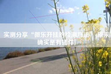 实测分享“微乐开挂的检测方法”(原来确实是有插件)