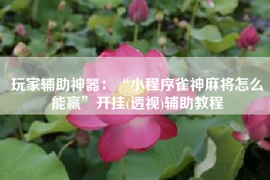 玩家辅助神器：“小程序雀神麻将怎么能赢”开挂(透视)辅助教程