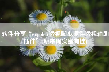 软件分享“wepoker透视脚本插件透视辅助插件”(原来确实是有挂)