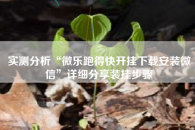 实测分析“微乐跑得快开挂下载安装微信”详细分享装挂步骤