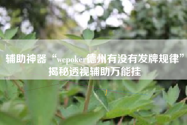 辅助神器“wepoker德州有没有发牌规律	”揭秘透视辅助万能挂