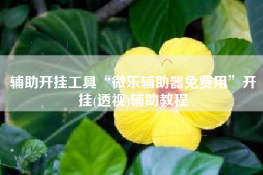 辅助开挂工具“微乐辅助器免费用”开挂(透视)辅助教程