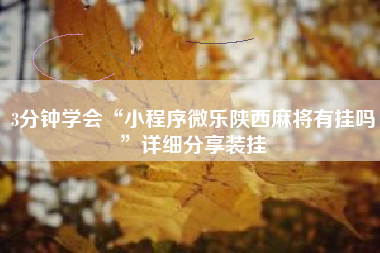 3分钟学会“小程序微乐陕西麻将有挂吗	”详细分享装挂