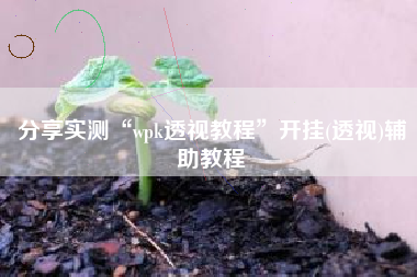 分享实测“wpk透视教程”开挂(透视)辅助教程