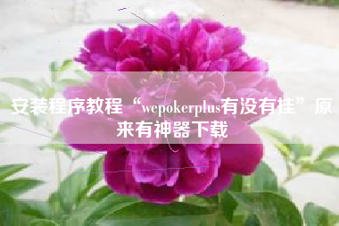 安装程序教程“wepokerplus有没有挂	”原来有神器下载
