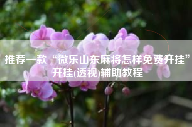 推荐一款“微乐山东麻将怎样免费开挂”开挂(透视)辅助教程