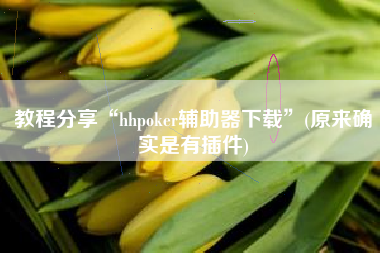 教程分享“hhpoker辅助器下载”(原来确实是有插件)