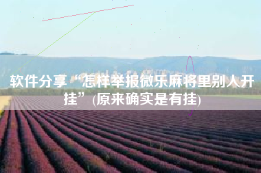 软件分享“怎样举报微乐麻将里别人开挂”(原来确实是有挂)