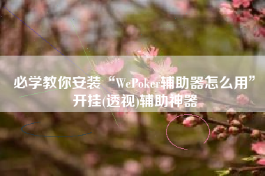 必学教你安装“WePoker辅助器怎么用”开挂(透视)辅助神器