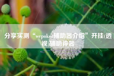 分享实测“wepoker辅助器介绍”开挂(透视)辅助神器