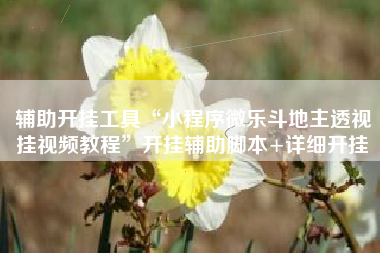 辅助开挂工具“小程序微乐斗地主透视挂视频教程”开挂辅助脚本+详细开挂