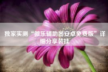 独家实测“微乐辅助器安卓免费版”详细分享装挂