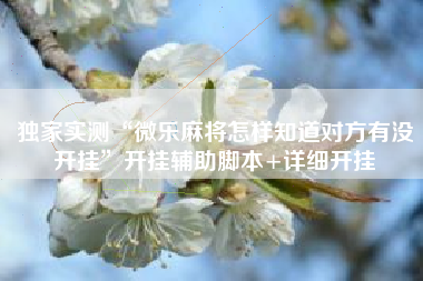 独家实测“微乐麻将怎样知道对方有没开挂”开挂辅助脚本+详细开挂