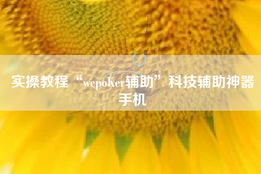 实操教程“wepoKer辅助	”科技辅助神器手机