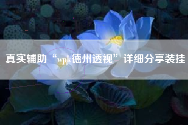 真实辅助“wpk德州透视	”详细分享装挂