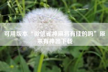 可用版本“微信雀神麻将有挂的吗”原来有神器下载