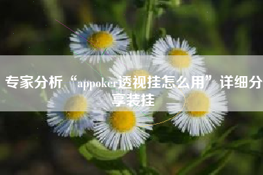 专家分析“appoker透视挂怎么用”详细分享装挂